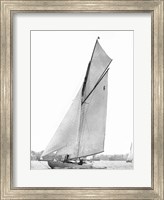 Sailing in Sydney Harbour Fine Art Print
