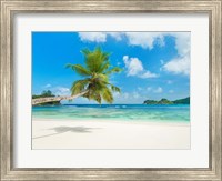 Tropical beach, Seychelles (detail) Fine Art Print