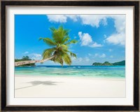 Tropical beach, Seychelles (detail) Fine Art Print