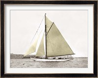 Yacht on Sydney Harbour Fine Art Print