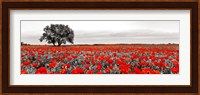 Tree in a Poppy Field 2 Fine Art Print