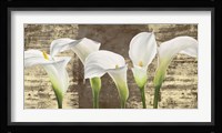 Callas on Gold (mocca variation) Fine Art Print