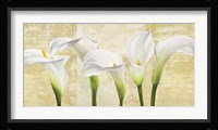 Callas on Gold (neutral variation) Fine Art Print
