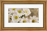 Daisies in the Moonlight Fine Art Print