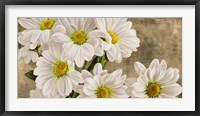 Daisies in the Moonlight Fine Art Print