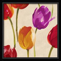 Tulip Funk (detail) Fine Art Print