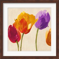 Tulips & Colors (detail) Fine Art Print