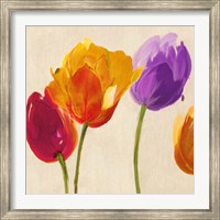 Tulips & Colors (detail) Fine Art Print