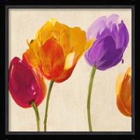 Tulips & Colors (detail) Fine Art Print