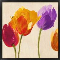 Tulips & Colors (detail) Framed Print