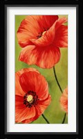Poppies in the Wind I Fine Art Print