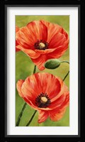 Poppies in the Wind II Fine Art Print