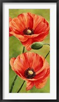 Poppies in the Wind II Framed Print
