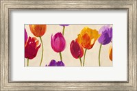 Tulips & Colors Fine Art Print