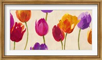 Tulips & Colors Fine Art Print