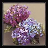 Dancing in the Moonlight II Framed Print