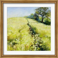 Fields of Gold Fine Art Print