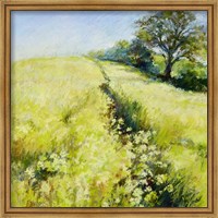 Fields of Gold Fine Art Print