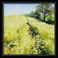 Fields of Gold Fine Art Print