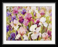 More Than I Can Say Framed Print