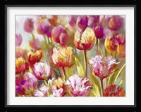 My oh My (detail) Framed Print