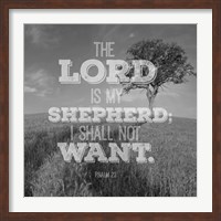 Psalm 23 The Lord is My Shepherd - Field Fine Art Print