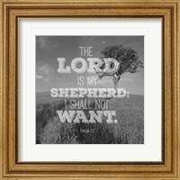 Psalm 23 The Lord is My Shepherd - Field Fine Art Print