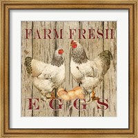 Farm Fresh Eggs II Fine Art Print