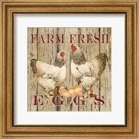 Farm Fresh Eggs II Fine Art Print