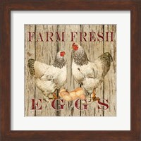 Farm Fresh Eggs II Fine Art Print