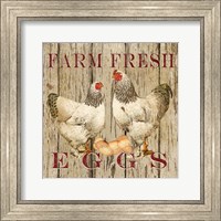 Farm Fresh Eggs II Fine Art Print