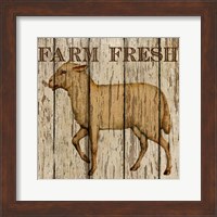 Farm Fresh Lamb Fine Art Print