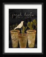 Fresh Herbs Fine Art Print