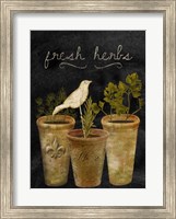 Fresh Herbs Fine Art Print
