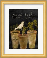 Fresh Herbs Fine Art Print