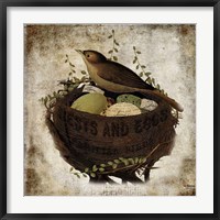 Nest & Eggs Fine Art Print