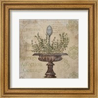 French Thyme Fine Art Print