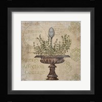 French Thyme Framed Print