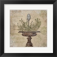 French Thyme Framed Print
