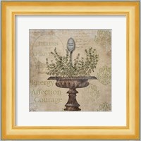 French Thyme Fine Art Print