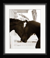 Good Friends Framed Print