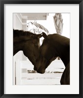 Good Friends Framed Print