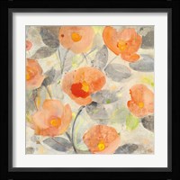 Poppy Garden II Framed Print