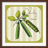 Linen Vegetable IV Fine Art Print