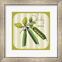 Linen Vegetable IV Fine Art Print