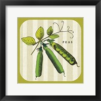 Linen Vegetable IV Framed Print