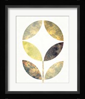 Golden Flower II Framed Print