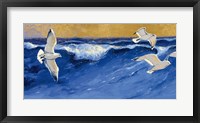 Seagulls with Gold Sky Fine Art Print