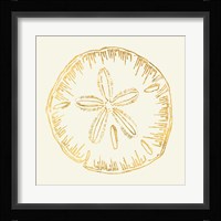 Coastal Breeze Shell Sketches IV Framed Print