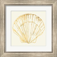 Coastal Breeze Shell Sketches V Fine Art Print